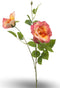 Rose liza spray x3 peach 80 cm Emerald