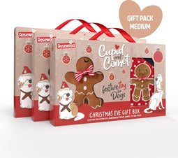 Rosewood - Geschenkdoos -Honden trui, speeltje & snack - Peperkoekman - Gingerbread - kerst - Medium