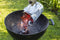 Rosmarino Blacksmith Brikettenstarter - BBQ accessoires - bbq accesoires - Barbecue - BBQ houtskool - Geschikt voor Houtskool en Brikketten - Snel, veilig en gemakkelijk