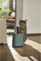 Rotho Mypet Cleaning Set 16.2 x 9.1 x 29 cm - Kattenbak - Groen&Antraciet