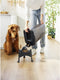 Rotho Mypet Pet Food Container Cody + Schep - Hondenvoerbewaarbak - 25 l