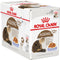 Royal Canin Ageing +12 In Jelly - Kattenvoer - 12x85 g