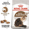 Royal Canin Ageing 12+ - Kattenvoer - 2 kg