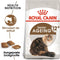 Royal Canin Ageing 12+ - Kattenvoer - 400 g