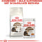 Royal Canin Ageing +12 - Senior Kattenvoer Brokjes - 4 kg