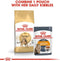 Royal Canin Bengal Adult - Kattenvoer - 10 kg