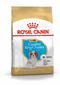 Royal Canin BHN Cavalier King Charles Spaniel Puppy - dry puppy food - 1.5kg