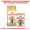 Royal Canin British Shorthair Adult - Kattenvoer Brokjes - 10 kg