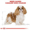 Royal Canin Cavalier King Charles 1.5 KG