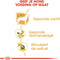 Royal Canin Chihuahua - Adult - Natvoer Hond - Pouch 12 x 85 g