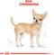 Royal Canin Chihuahua - Adult - Natvoer Hond - Pouch 12 x 85 g