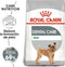 Royal Canin Dental Care Mini - Hondenvoer - 3 kg