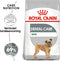 Royal Canin Dental Care Mini - Hondenvoer - 3 kg