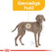 Royal Canin Dermacomfort Maxi - Hondenvoer - 12 kg