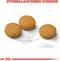 Royal Canin Dermacomfort Medium - Hondenvoer - 12 kg