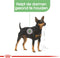 Royal Canin Digestive Care Natvoer - Hondenvoer - 12x85 g