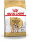 Royal Canin English Bulldog - Adult - Hondenbrokken - 12 KG