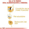 Royal canin french bulldog adult - Default Title
