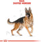 Royal Canin German Shepherd Adult - Hondenvoer - 11 kg