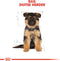 Royal Canin German Shepherd Junior 12 KG