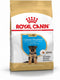 Royal Canin German Shepherd Junior 12 KG