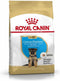 Royal Canin German Shepherd Junior 12 KG