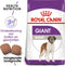Royal Canin Giant Adult - Hondenbrokken - 15 KG