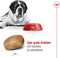 Royal Canin Giant Adult - Hondenbrokken - 15 KG
