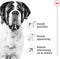 Royal Canin Giant Adult - Hondenbrokken - 15 KG