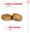 Royal Canin Giant Adult - Hondenbrokken - 15 KG