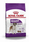 Royal Canin Giant Adult - Hondenbrokken - 15 KG