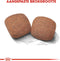 Royal Canin Giant Adult - Hondenbrokken - 15 KG