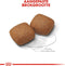 Royal Canin Giant Junior 15 KG