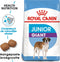 Royal Canin Giant Junior 15 KG