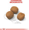 Royal canin giant puppy - Default Title