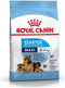 Royal Canin Giant Starter Mother & Babydog - Hondenvoer - 15 kg