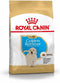 Royal Canin Golden Retriever Junior - Hondenbrokken - 12 kg