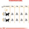 Royal Canin Hair & Skin Care - Kattenvoer - 4 kg