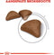 Royal Canin Hairball Care - Kattenvoer - 10 kg