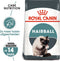 Royal Canin Hairball Care - Kattenvoer - 10 kg