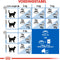 Royal Canin Indoor - Kattenvoer - 4 kg