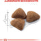 Royal Canin Indoor - Kattenvoer - 4 kg