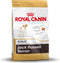 Royal Canin Jack Russel Adult 1.5 KG