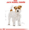 Royal Canin Jack Russel Adult 1.5 KG