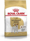 Royal Canin Jack Russel Adult 1.5 KG