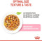 Royal Canin Kitten Sterilised Jelly - Kitten-Kattenvoer - 12x85 g
