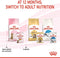 Royal Canin Kitten Sterilised Jelly - Kitten-Kattenvoer - 12x85 g