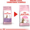 Royal Canin Kitten Sterilised - Kattenvoer Brokken - 3.5 kg