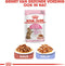 Royal Canin Kitten Sterilised - Kattenvoer Brokken - 3.5 kg