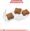 Royal Canin Kitten Sterilised - Kitten-Kattenvoer - 2 kg